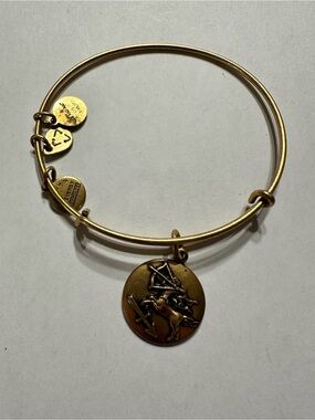 Alex and Ani Gold-Tone Sagittarius Zodiac Disc Charm Bangle Bracelet